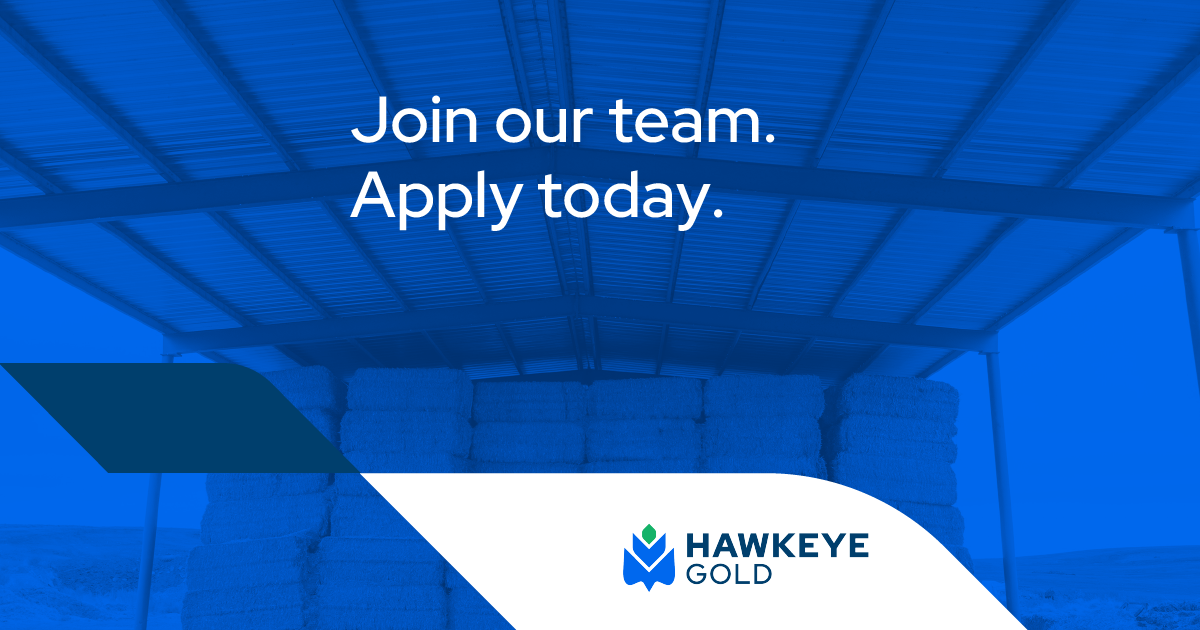 Careers Hawkeye Gold